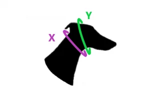 Obojky pro chrty - silueta pro měření psa