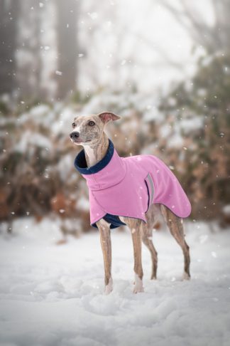 Zimní oblečení, bundička Andora pro chrta, softshell, šeříková s tmavě modrou podšívkou MůjChrt.cz (podenko, saluky, italský chrtík, whippet, galgo, greyhound)