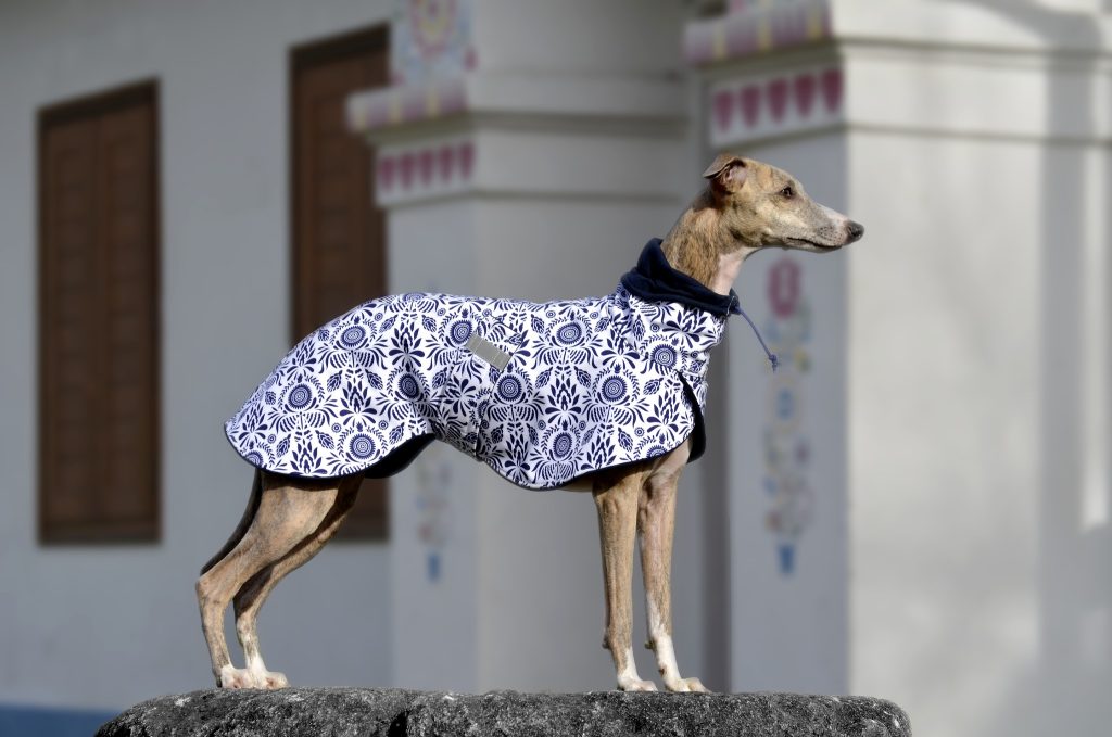 Přechodová bundička pro chrta Kodaň, softshell, folklor, MůjChrt.cz. (jarní oblečení - whippet)