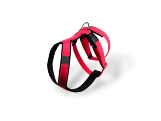 Odlehčený postroj pro chrta, Růžová neon, MujChrt.cz