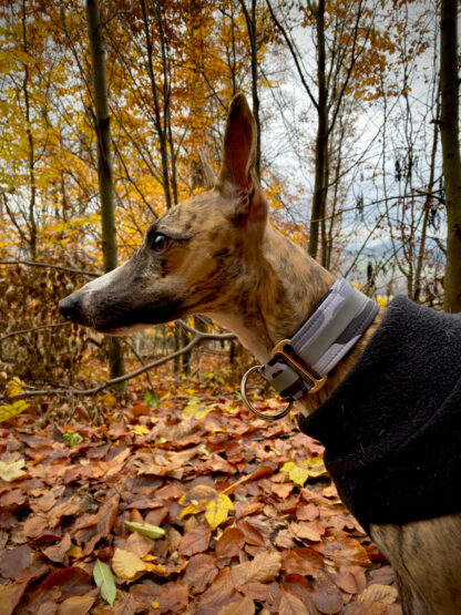 MujChrt.cz polohovací obojek pro chrta, kamufláž, reflex, whippet