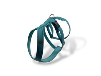 Odlehčený postroj pro chrta, Mýtová, MujChrt.cz