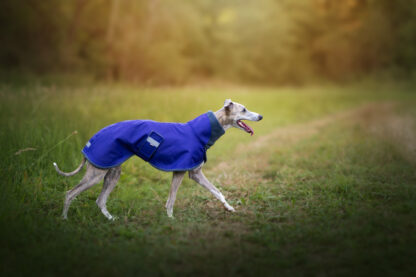 Podzimní bunda pro chrta, Livorno, fialová, whippet