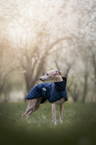 Kabátek Locarno DeLUX, modrá, whippet