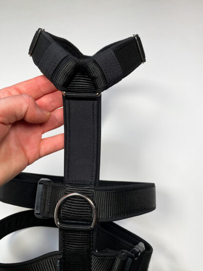 Postroj celonastavitelný pro chrta, detail záda