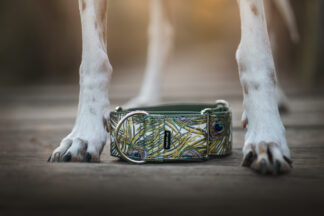 MujChrt.cz obojek pro chrta, martingale, paví peří - zlatá