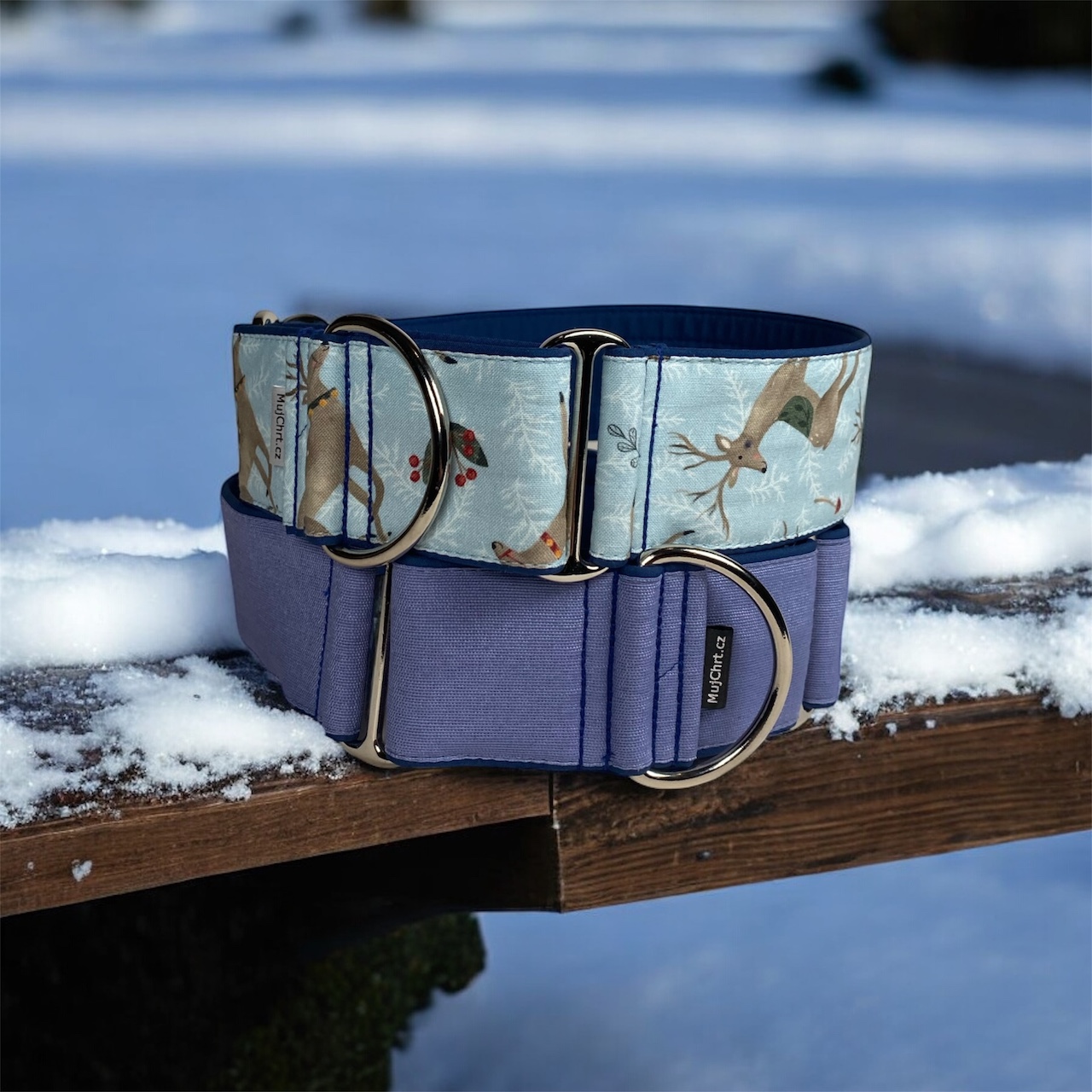 Obojky pro chrty, martingale, Jelínci a Modrý jednobarevný, MujChrt.cz