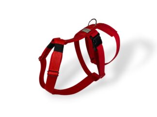 Nastavitelný postroj pro chrta, Rubínová, MujChrt.cz