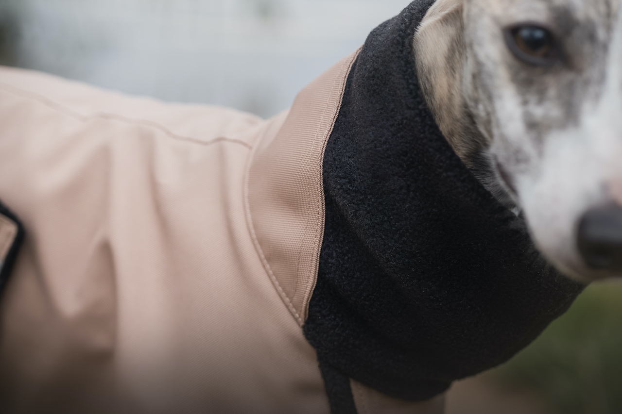 Podzimní bunda pro chrta LIVORNO, velbloudí, detail límce, whippet, MujChrt.cz
